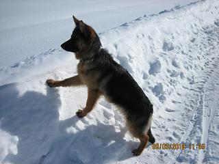И о погоде-img_3778.jpg