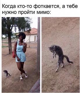 Для поднятия настроения!-67d580e5-c971-4917-99e3