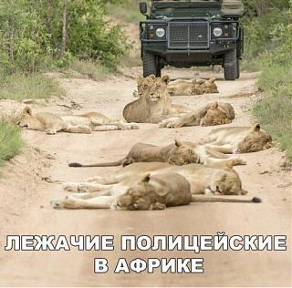 Для поднятия настроения!-1522755680_avtoprikoly-10.jpg