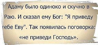 Для поднятия настроения!-image-23-.jpg