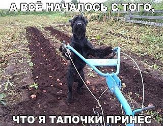 Приколы из интернета-image-17-.jpg
