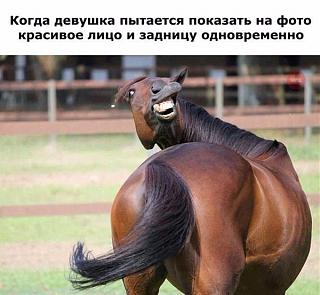 Приколы из интернета-00-57-35-downloadfile.jpg