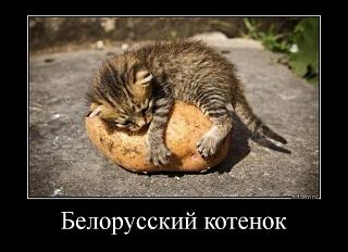Приколы из интернета-img-f41611ab4ed74be96c4f8c6584b5ed7b
