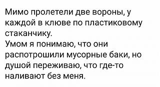 Флудилка-51b85da9-fe67-4937-9f8d-1099e3f475c6.jpg