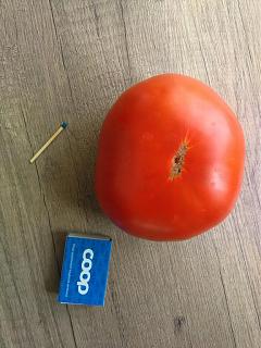 Дача, сад, огород.-img_20180814_123854.jpg