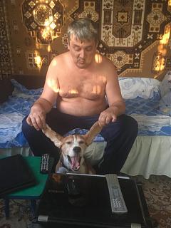 Домашние питомцы.-uhi.jpg