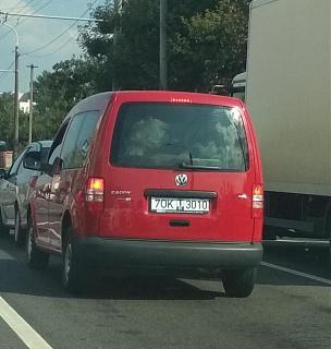 Охота на Caddy.-img_20180915_224821.jpg