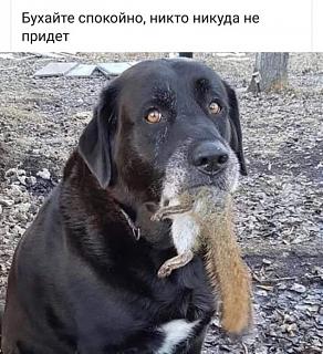 Приколы из интернета-image-22-.jpg