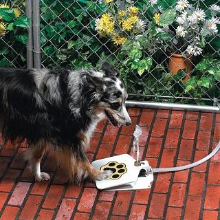Полезные бытовые мелочи-c4f389eddaf7d542ea28f3cb3dbd4d7e.jpg
