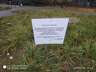 Флудилка-img_20181109_115511.jpg