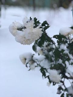 И о погоде-img-20181113-wa0007.jpg