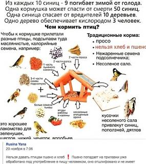 Домашние питомцы.-snimok-ekrana-2018-12-09-v-8.19.49.jpg