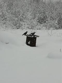 Строим "свой"дом!-img_20190106_113419.jpg