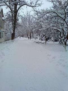 И о погоде-img_20190109_113614.jpg