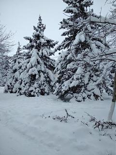 И о погоде-img_20190109_113634.jpg