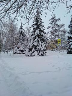 И о погоде-img_20190109_113713.jpg