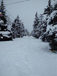 И о погоде-img_20190109_114217.jpg