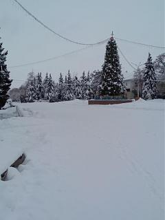 И о погоде-img_20190109_114228.jpg
