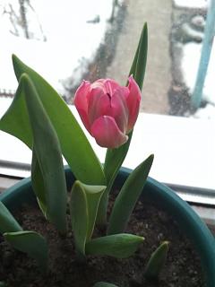 Флудилка-img_20190216_164229.jpg