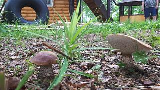 Позитивы и негативы сегодняшнего дня-img-20190601-wa0005.jpg