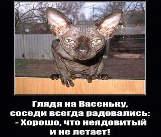 Анекдот-d20ldgih48.jpg