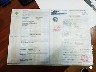 диагноз по фотографии поставим? :-)-img_20190906_102352.jpg