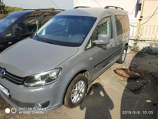 диагноз по фотографии поставим? :-)-img_20190906_100522.jpg