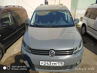 диагноз по фотографии поставим? :-)-img_20190906_100513.jpg