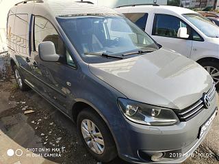 диагноз по фотографии поставим? :-)-img_20190906_100506.jpg