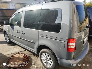диагноз по фотографии поставим? :-)-img_20190906_100426.jpg