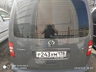 диагноз по фотографии поставим? :-)-img_20190906_100443.jpg