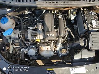диагноз по фотографии поставим? :-)-img_20190906_100353.jpg