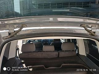 диагноз по фотографии поставим? :-)-img_20190906_100805.jpg