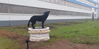 Интересные фотографии, сделанные членами клуба-img_20190927_081633.jpg