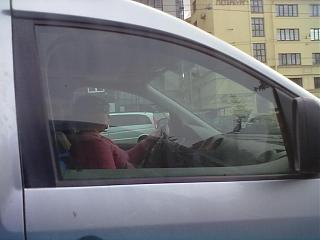 Охота на Caddy.-29052012614.jpg