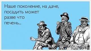 Приколы из интернета-ss31efhvedm.jpg