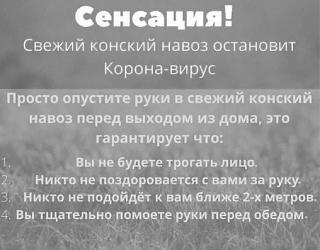 Вирус.-us7bxmimn88.jpg