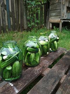 Дача, сад, огород.-img_20200703_201535.jpg