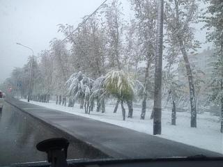 Флудилка-img_3665.jpg