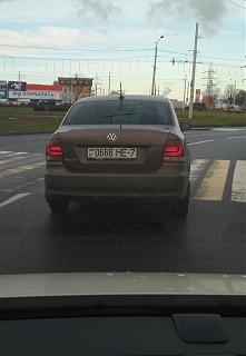 Вчера такое встретил...-img_20201120_130624.jpg