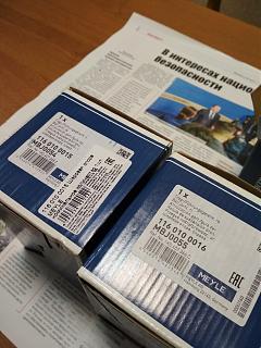 Два беляша - пара (maxi/Trendline/CLCA/2012)-img_20201124_082108.jpg