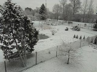 И о погоде-img_20210103_103404.jpg