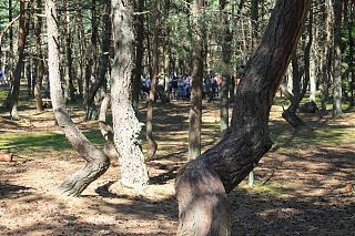 Калининград (Тридевятое царство - 39 rus)-img_0395.jpg