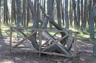 Калининград (Тридевятое царство - 39 rus)-img_0397.jpg