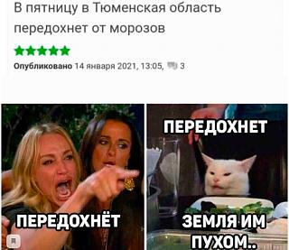 О Погоде с юмором-snimok-ekrana-2021-01-18-v-20.32.45.jpg