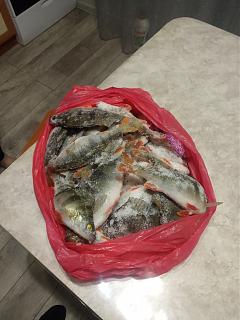 Рыбалка-img_20210121_182613.jpg