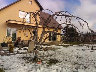 Дача, сад, огород.-img_20210226_122415.jpg
