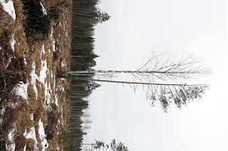 Интересные фотографии, сделанные членами клуба-img_0755.jpg