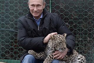 Домашние питомцы.-hepr7oorefc.jpg