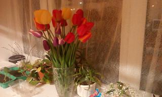 Дача, сад, огород.-img_20210514_220640.jpg